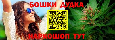 PSILOCYBIN Сланцы