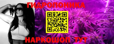 ешки Славгород